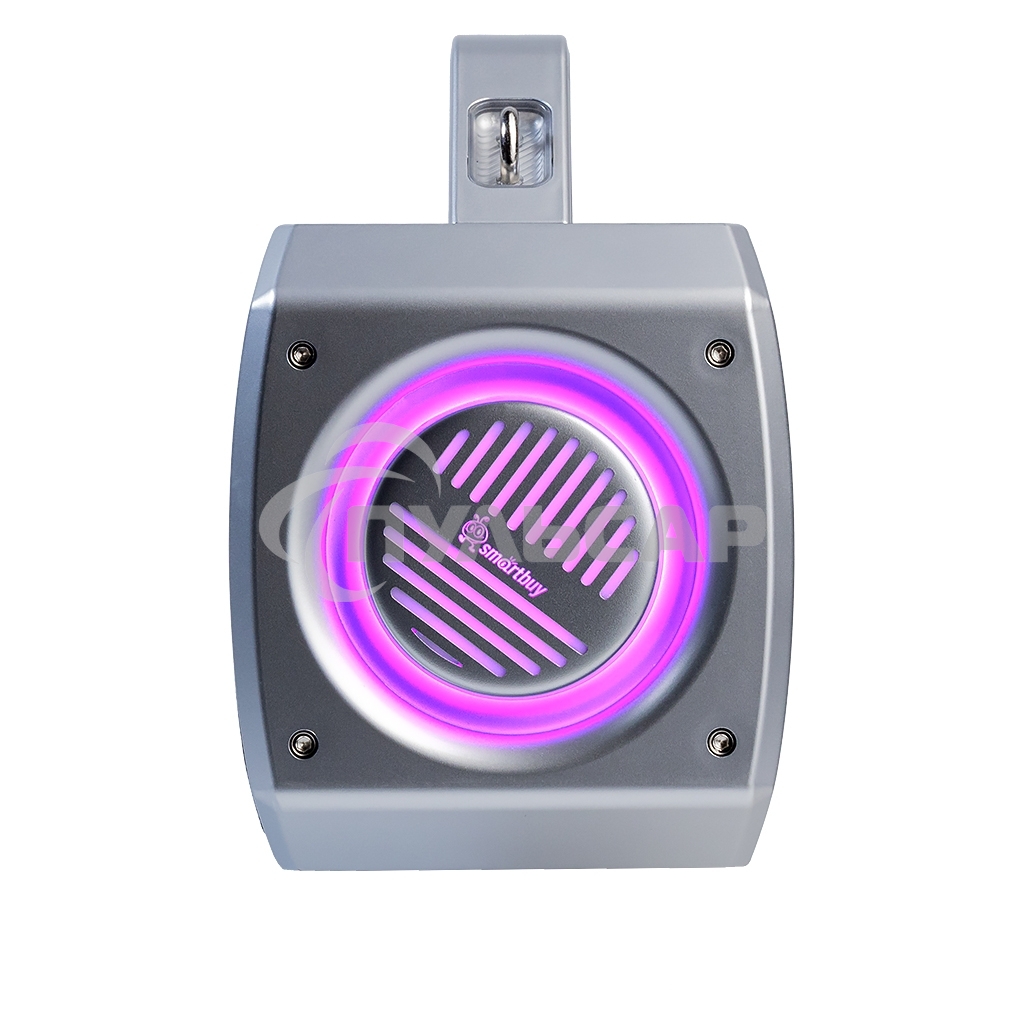 Портативная колонка Smartbuy (SBS-5930) FLYER серый