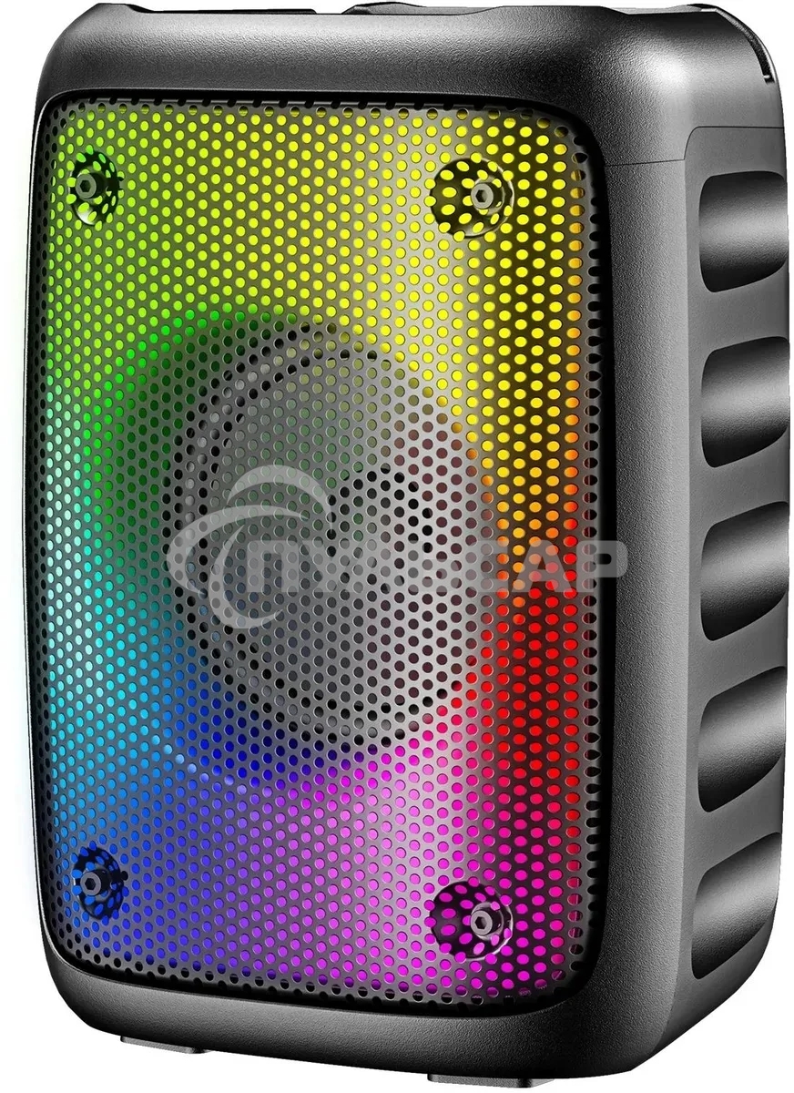 Портативная колонка Hyundai H-PS1006 черный 30 Вт 1.0 BT 10м 1500mAh