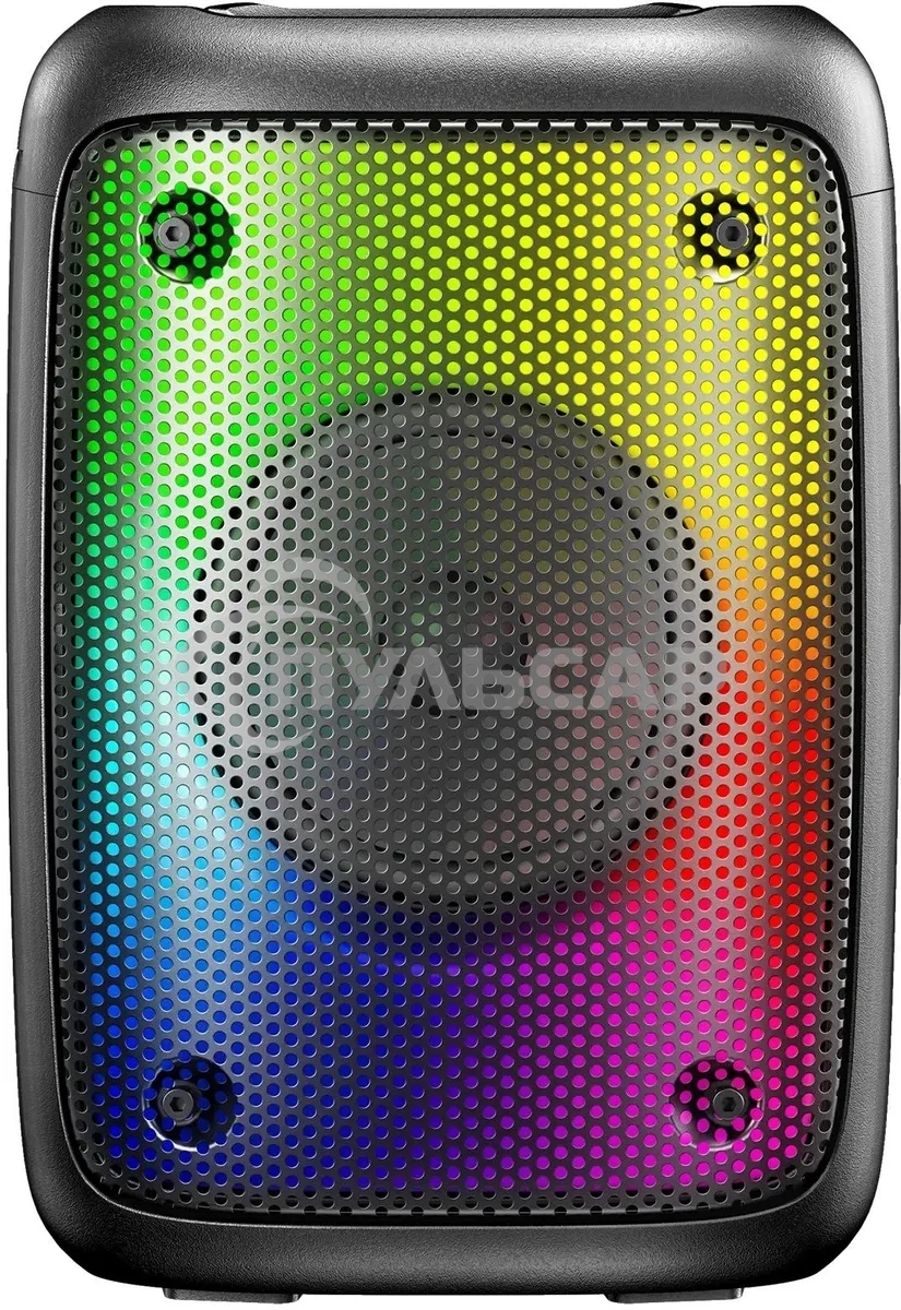 Портативная колонка Hyundai H-PS1006 черный 30 Вт 1.0 BT 10м 1500mAh