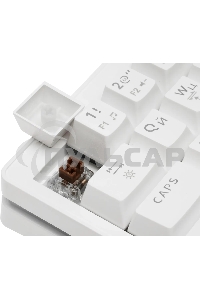 Клавиатура проводная Defender Deimos GK-303, USB, белый