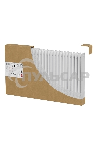 Дизайн-радиатор Royal Thermo Insignia VC3030 - 34 секц. RAL9016