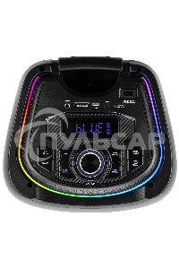 Колонка ELTRONIC (30-73) CRAZY BOX 1200 - 10