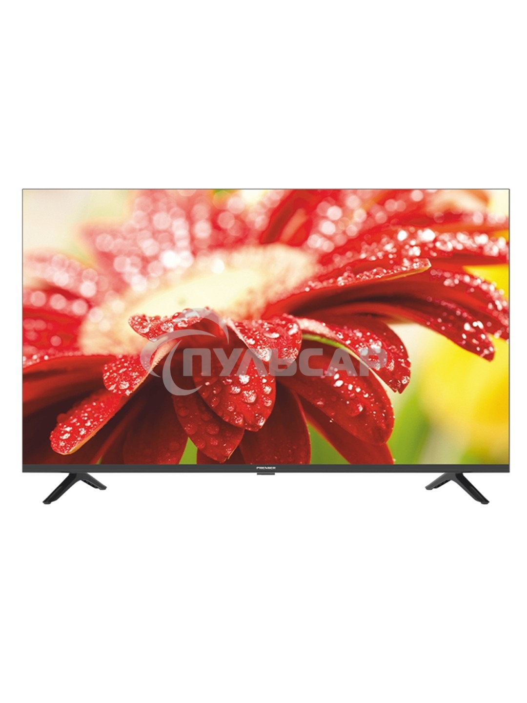 Телевизор PREMIER 43
