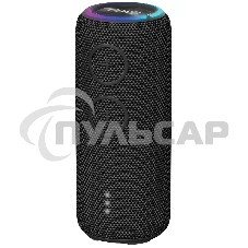 Портативная колонка AIWA (19177) PAS-H200 черный