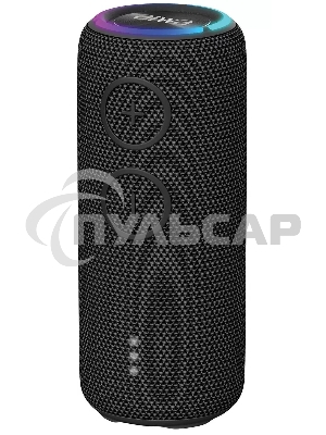 Портативная колонка AIWA (19177) PAS-H200 черный