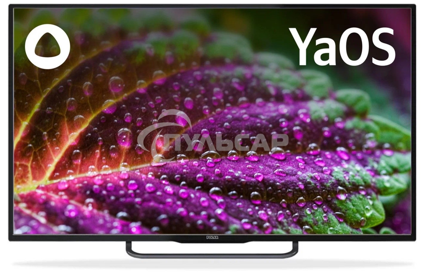 Телевизор Polar 50