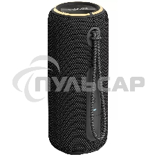 Портативная колонка AIWA (19177) PAS-H200 черный