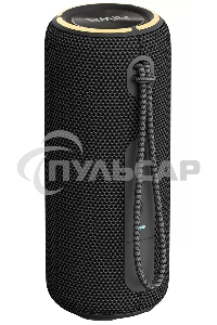 Портативная колонка AIWA (19177) PAS-H200 черный