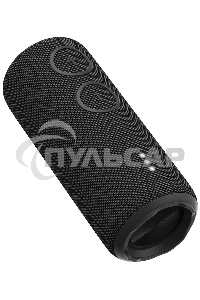 Портативная колонка AIWA (19177) PAS-H200 черный