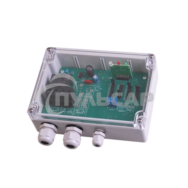 Терморегулятор Rexant TermoStat Pipe 40A IP65 51-0841