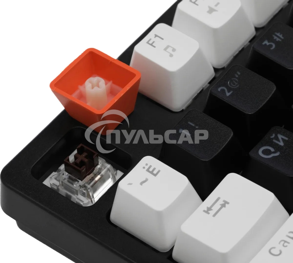 Клавиатура проводная Defender Hawk GK-418, USB, черный/белый