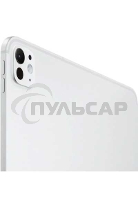 Планшет Apple iPad Pro 13