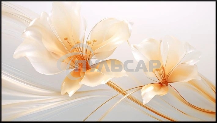 Экран на раме Xgimi 127.6x224.5см 100