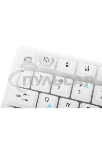 Клавиатура проводная Defender GK-172, USB, белый