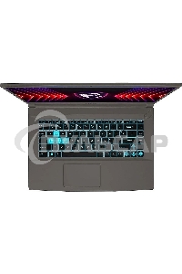 Ноутбук MSI Thin 15 B12UC-3255XRU серый Intel Core i5-12450H/16Gb/SSD1Tb/RTX 3050 4Gb/15.6