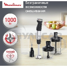 Погружной блендер MOULINEX DD67L810, серебристый/черный