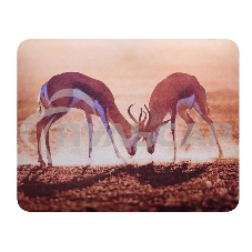 Коврик для мыши Buro BU-M40077 коричневый/рисунок