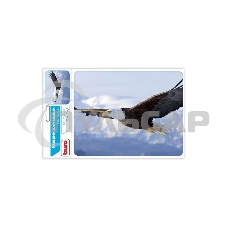 Коврик для мыши Buro BU-M40005 рисунок/орел