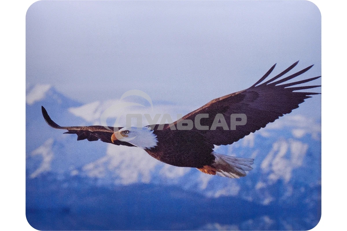Коврик для мыши Buro BU-M40005 рисунок/орел