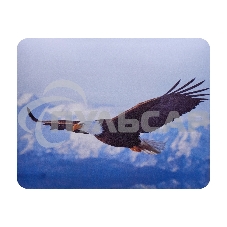 Коврик для мыши Buro BU-M40005 рисунок/орел