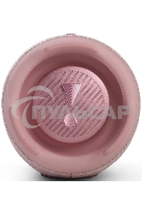 Портативная акустика JBL Charge 5, розовый