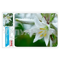 Коврик для мыши Buro BU-M20041 рисунок/лилия