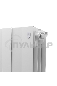 Радиатор биметаллический Royal Thermo PianoForte 300 белый - 8 секц.
