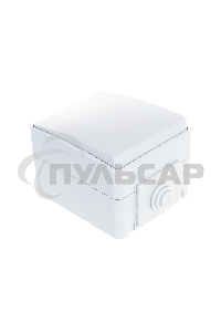 Выключатель Эра Б0035972 11-1601-03 IP65, 10АХ-250В, ОУ, Эра Эксперт, серый