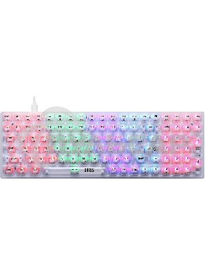Клавиатура проводная механическая Defender Orios GK-149 RU,прозрач,100кн+FN,радуж,1.5м_1