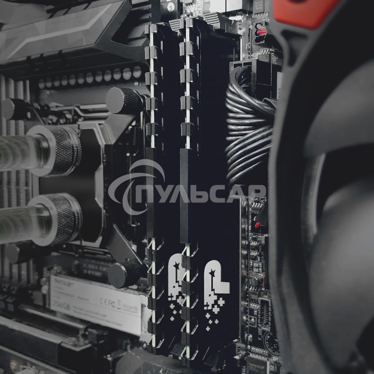 Оперативная память Patriot Memory Signature Premium RTL PSP48G2666H1 DDR4 8Gb 2666MHz RTL PC4-21300 CL19 DIMM 288-pin 1.2В single rank с радиатором Ret