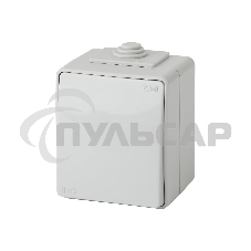 Выключатель Эра Б0035972 11-1601-03 IP65, 10АХ-250В, ОУ, Эра Эксперт, серый