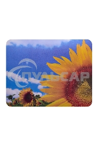 Коврик для мыши Buro BU-M20036 пластиковый, поле подсолнухов, 230х180х2мм