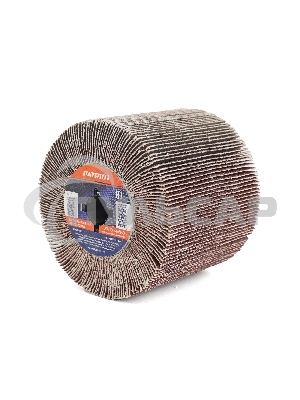 Щетка дисковая Patriot 823010023 d=120мм (шлифовальные машины) (упак.:1шт)