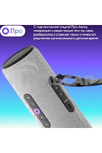 Умная портативная колонка Яндекс Станция Стрит с Алисой, модель YNDX-00030GRY (серый)