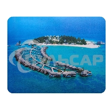 Коврик для мыши Buro BU-M10020 рисунок/тропический отель