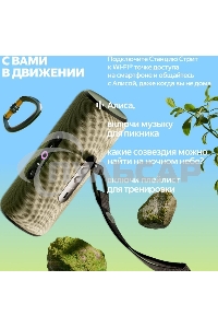 Умная портативная колонка Яндекс Станция Стрит с Алисой, модель YNDX-00030GRY (серый)