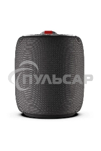 Портативная колонка MONSTER SUPERSTAR s110 (MS11901) черная
