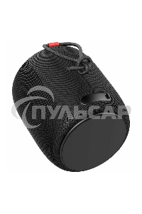 Портативная колонка MONSTER SUPERSTAR s110 (MS11901) черная