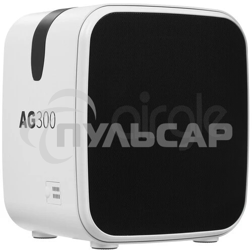 Очиститель воздуха Airgle AG300