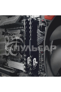 Оперативная память Patriot Memory Signature Premium RTL PSP416G2666H1 DDR4 16Gb 2666MHz PC4-21300 CL19 DIMM 288-pin 1.2В dual rank с радиатором Ret