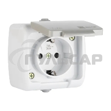 Розетка EKF Мурманск EFR16-029-30-54 1-местная 16А с заземлением с крышкой IP54 серый с защитными шторками