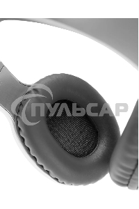 Наушники Panasonic RB-HX220BEES серебристый Полноразмерные Bluetooth наушники с усиленным басом