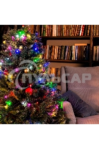 Гирлянда светод. Funray Минишарики, SE-MINI-110M, 10М,100LED,мульти(6цв.),темно-зел.шн.0,7м,контр,