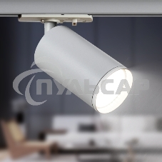Трековый светильник однофазный ЭРА TR39-GU10 WH под лампу MR16 белый