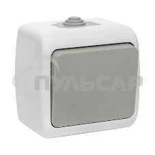 Выключатель EKF Мурманск EFV10-021-30-54 1 -клавишный 10А IP54 серый