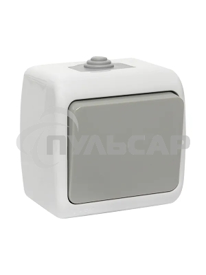 Выключатель EKF Мурманск EFV10-021-30-54 1 -клавишный 10А IP54 серый