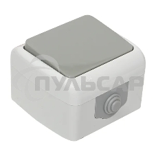 Выключатель EKF Мурманск EFV10-021-30-54 1 -клавишный 10А IP54 серый