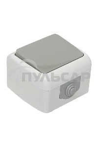 Выключатель EKF Мурманск EFV10-021-30-54 1 -клавишный 10А IP54 серый