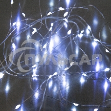 Гирлянда светод. Funray Нить, SE-STRING-550W, 5м, 50 LED, холодный белый, 3*АА, серебр. шнур 0,3м