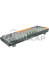 Клавиатура проводная REDRAGON Fizz RU,Rainbow,красные свитчи, механическая